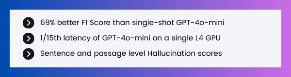 AIMon HDM-1 Key highlights